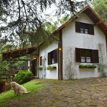 쿠냐 Chalet Da Hortensias 빌라 외부 사진