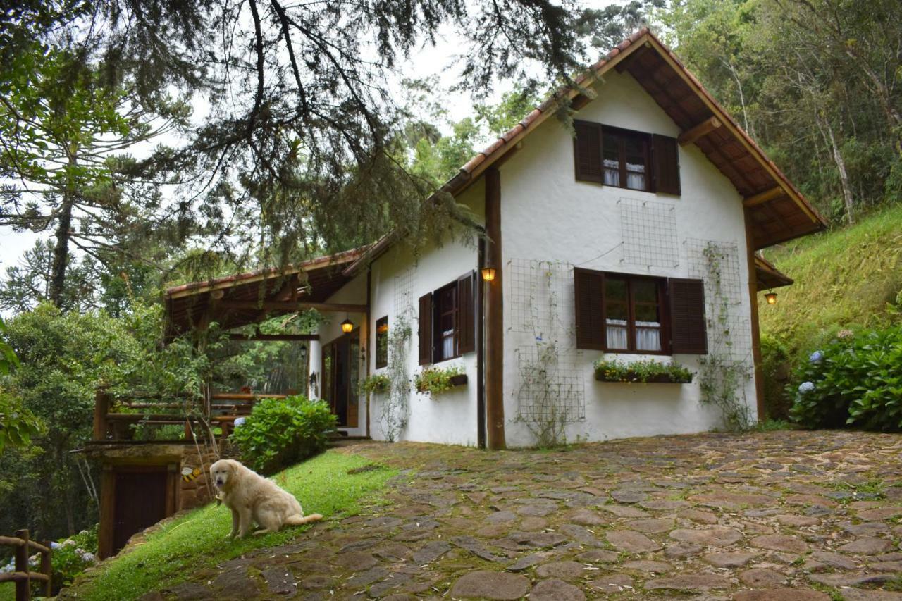 쿠냐 Chalet Da Hortensias 빌라 외부 사진