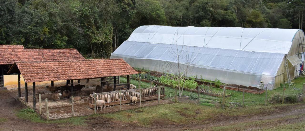 쿠냐 Chalet Da Hortensias 빌라 외부 사진